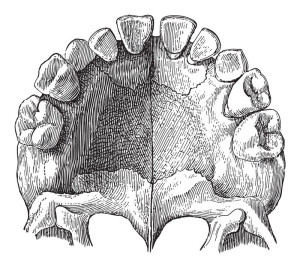 dental care through the centuries