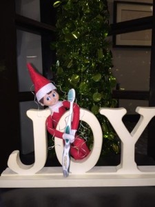 elfjoy